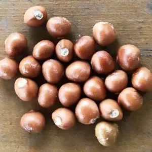 Насіння. Насіння.