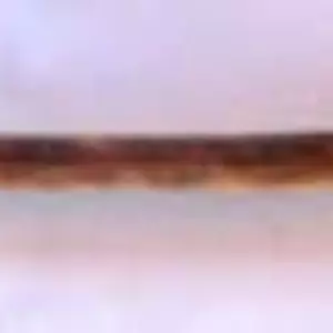 Виноград. Живці для вкорінення. Виноград. Живці для вкорінення.