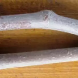 Живці інжиру для вкорінення. НЧ. Живці інжиру для вкорінення. НЧ.