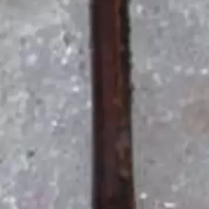 Дейція. НЧ. Живці для вкорінення. Дейція. НЧ. Живці для вкорінення.