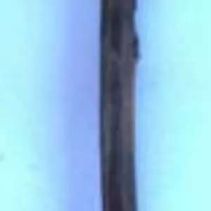 Вейгела. НЧ. Живці для вкорінення. Вейгела. НЧ. Живці для вкорінення.