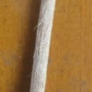 Гранат. Живці для вкорінення. НЧ. Гранат. Живці для вкорінення. НЧ.