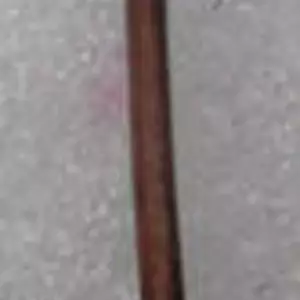 Чубушник. НЧ. Живці для вкоріненя. Чубушник. НЧ. Живці для вкоріненя.